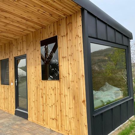 Villa Kubiq Transalpina Petresti Exterior foto